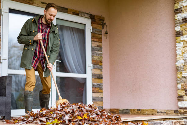 Best Basement Cleanout Services  in Audubon, PA